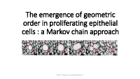 geometric order in proliferating epithelial.pdf